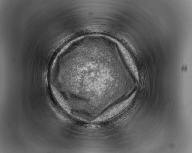 X0000099530398200806061436