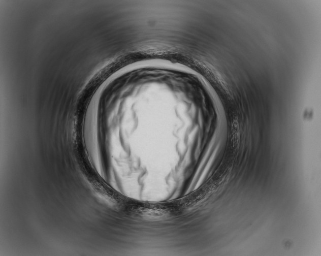 X0000099530400200806061436