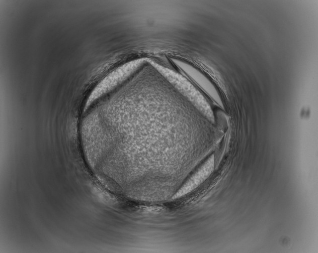 X0000099530401200806061436