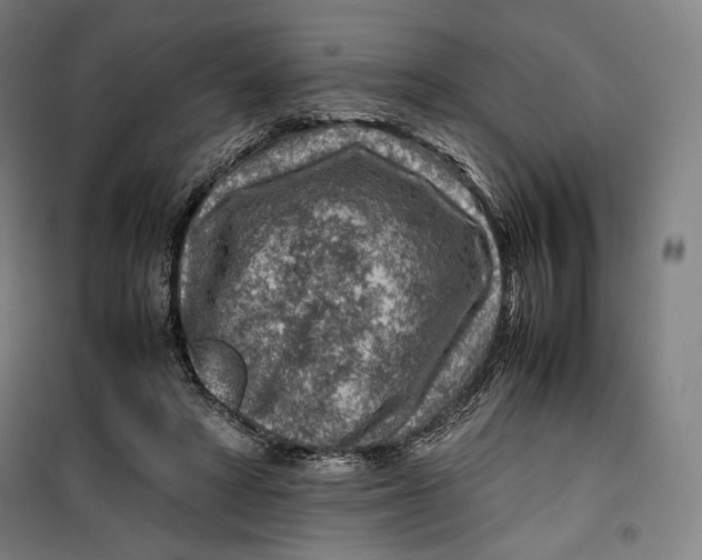 X0000099530402200806061436