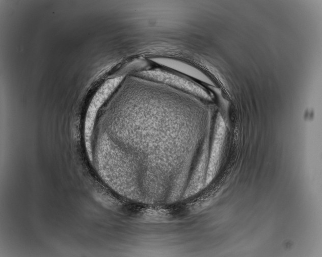 X0000099530403200806061436