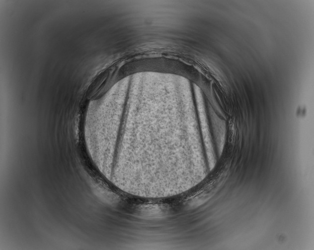 X0000099530404200806061436