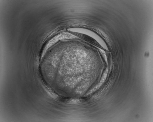 X0000099530405200806061436