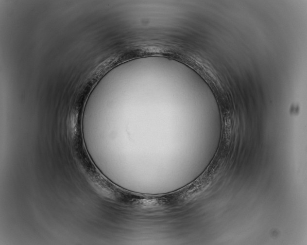 X0000099530406200806061436