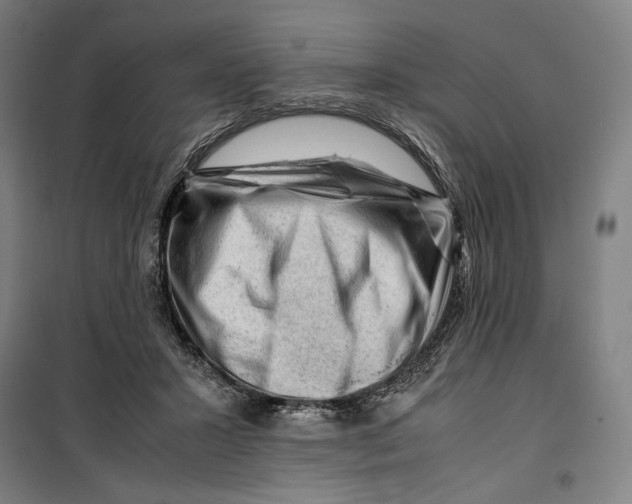 X0000099530407200806061436