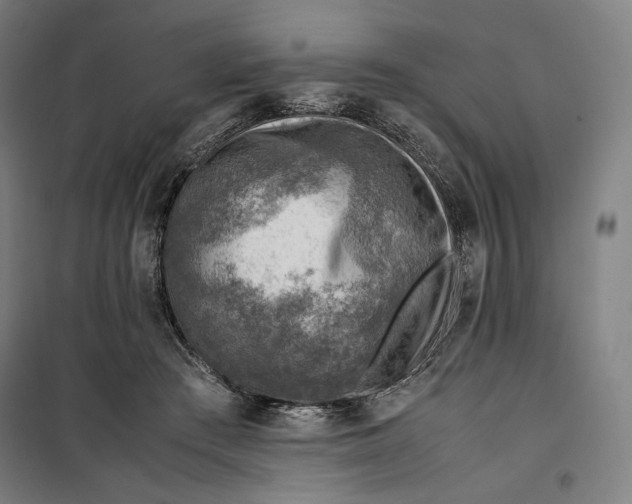 X0000099530409200806061436