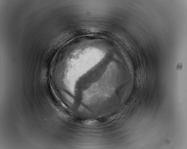 X0000099530410200806061436