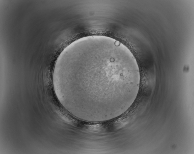 X0000099530411200806061436