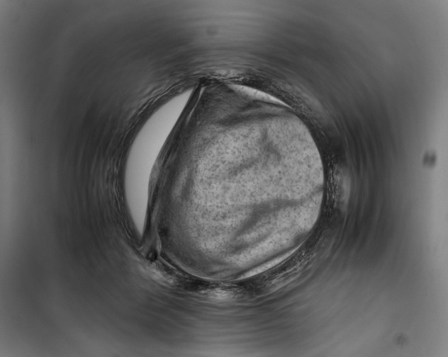 X0000099530412200806061436