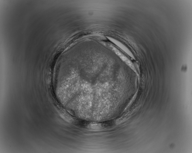 X0000099530413200806061436