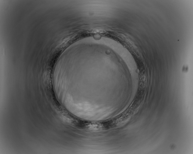 X0000099530415200806061436