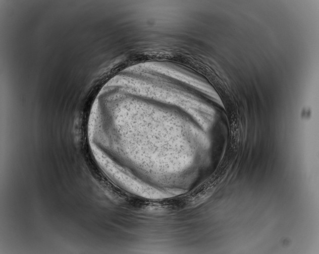 X0000099530416200806061436