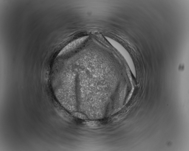 X0000099530417200806061436