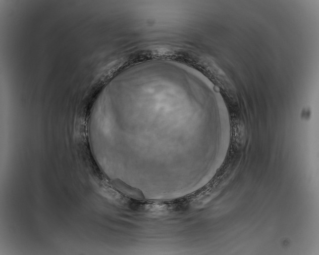 X0000099530419200806061436