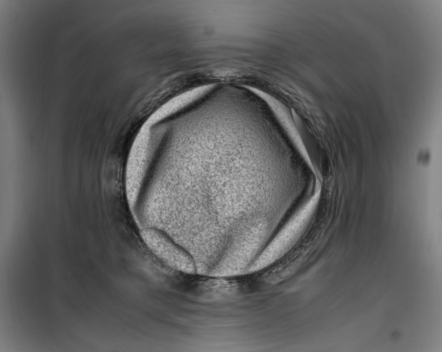 X0000099530421200806061436