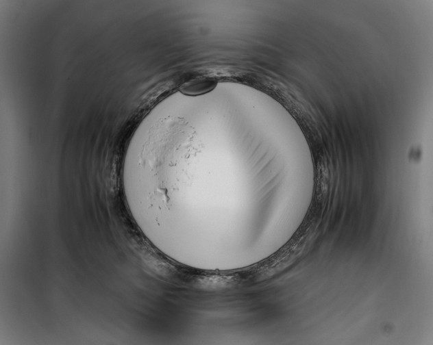 X0000099530422200806061436