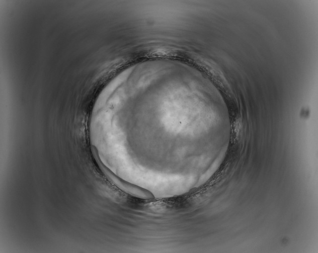 X0000099530423200806061436