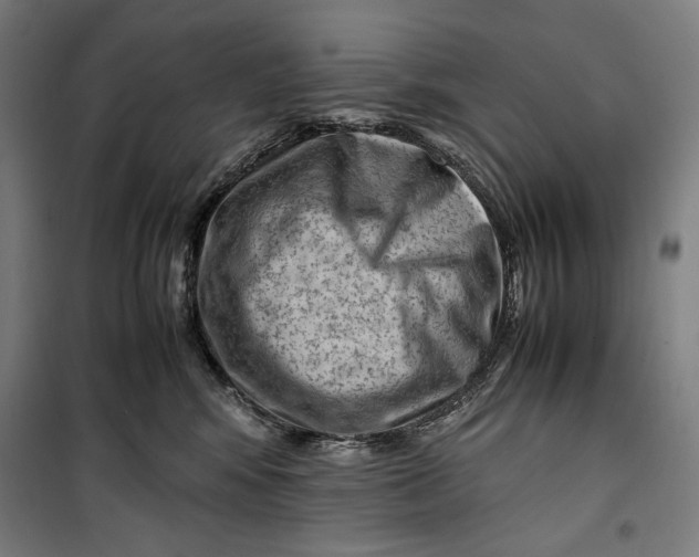 X0000099530424200806061436