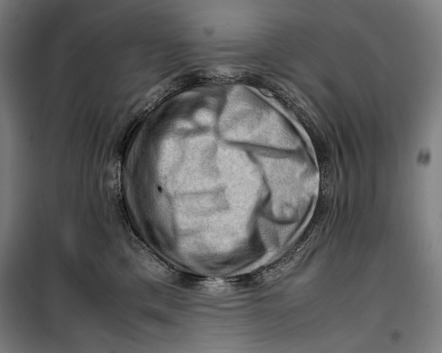 X0000099530425200806061436