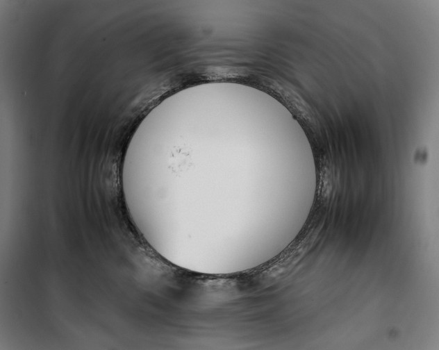 X0000099530426200806061436