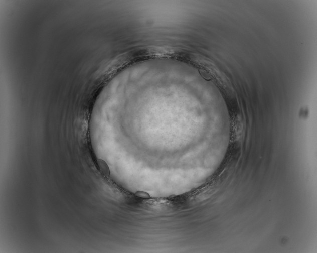 X0000099530427200806061436