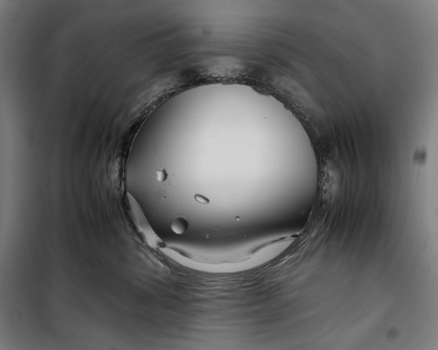 X0000099530428200806061436