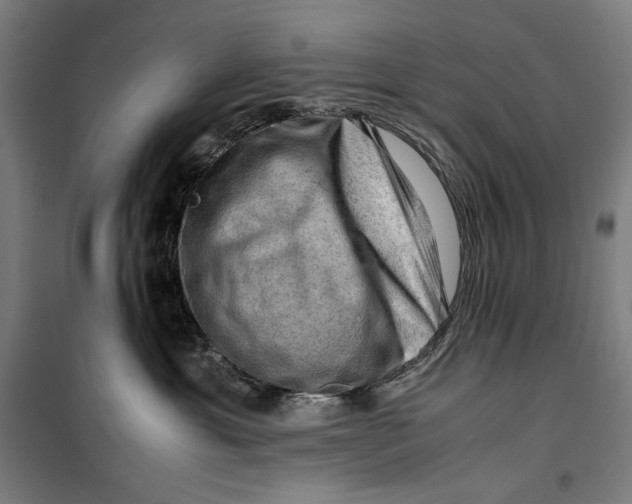 X0000099530429200806061436