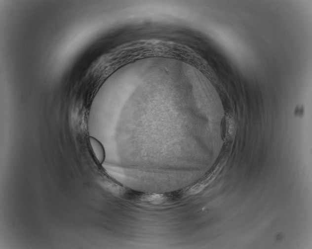 X0000099530431200806061436