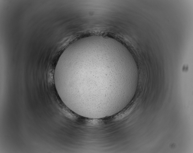 X0000099530432200806061436