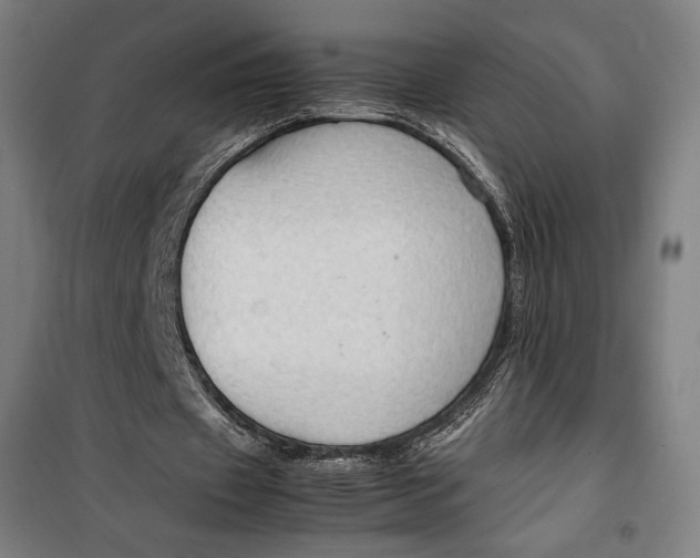 X0000099530433200806061435