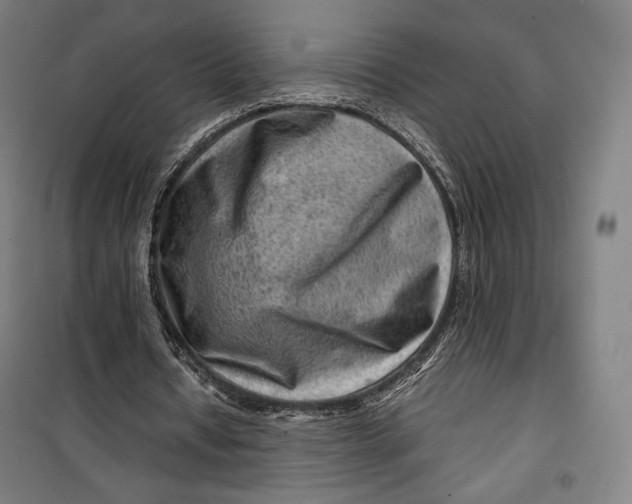 X0000099530434200806061435