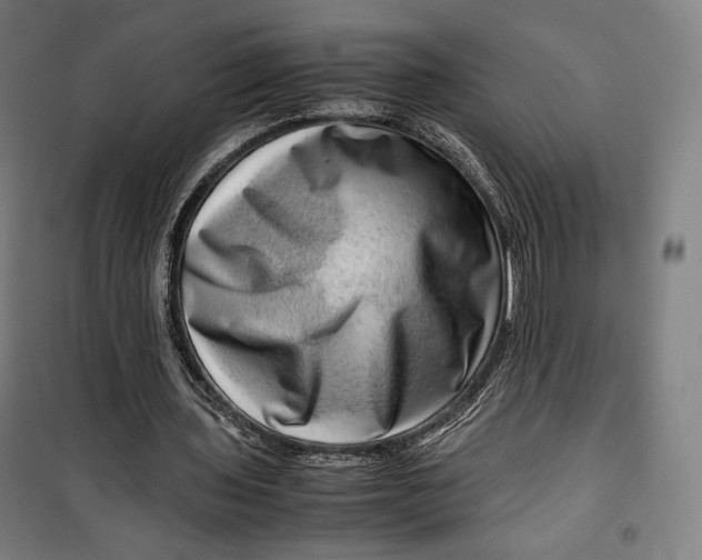 X0000099530435200806061435