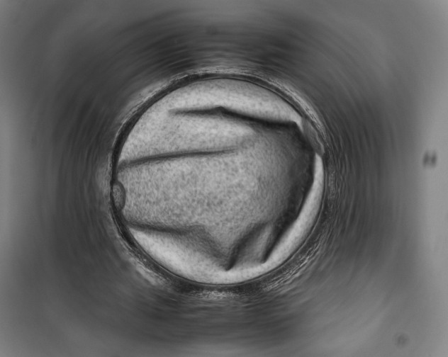 X0000099530437200806061435