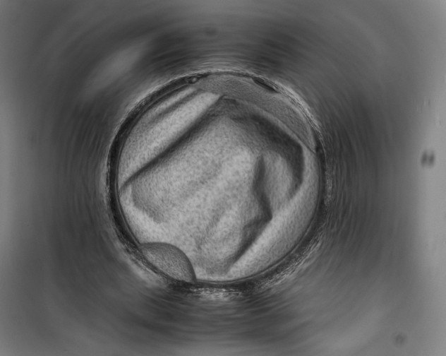 X0000099530439200806061435