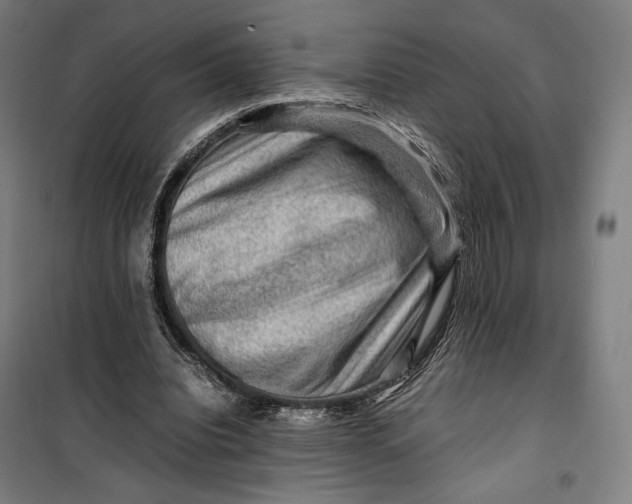 X0000099530440200806061435