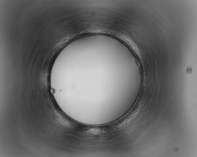 X0000099530441200806061435