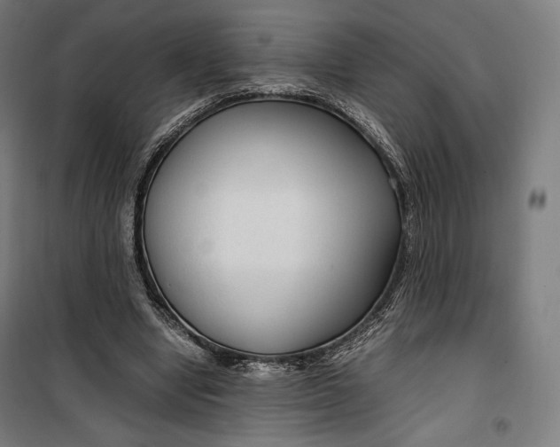 X0000099530442200806061435