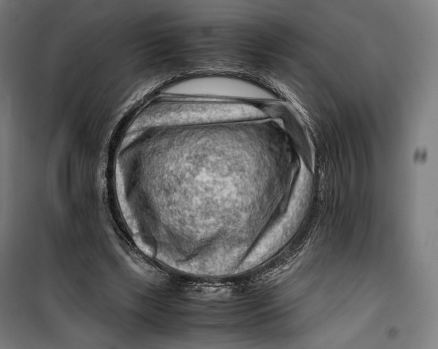 X0000099530443200806061435