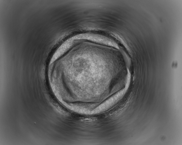 X0000099530447200806061435