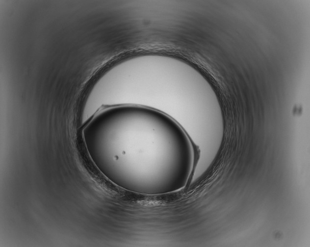 X0000099530448200806061435