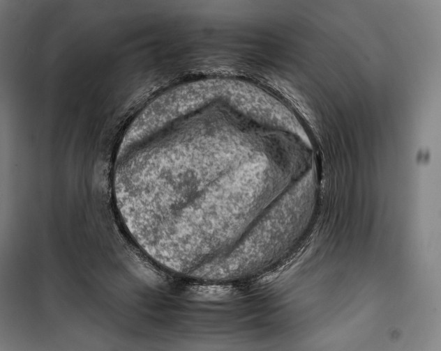 X0000099530449200806061435