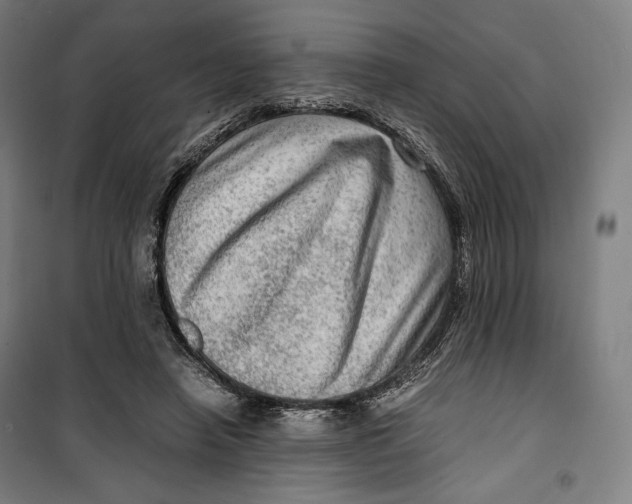 X0000099530450200806061435