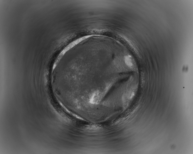 X0000099530451200806061435