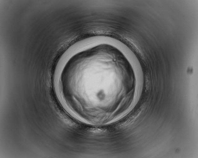 X0000099530453200806061435