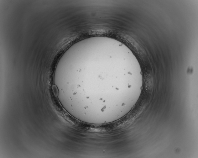 X0000099530455200806061435