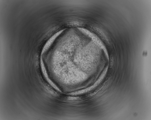 X0000099530457200806061435