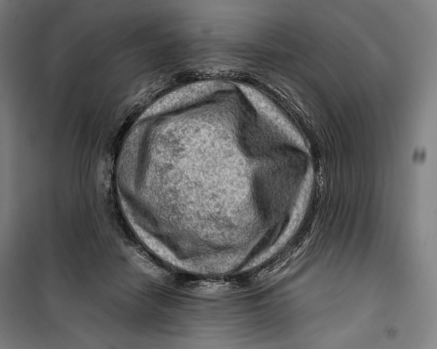 X0000099530458200806061435