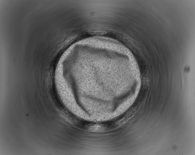 X0000099530460200806061435