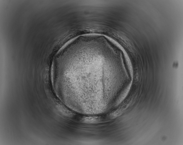 X0000099530461200806061435