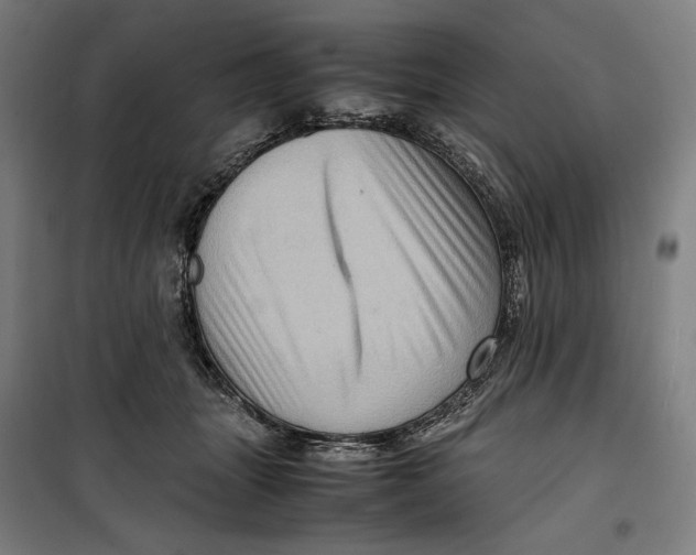 X0000099530463200806061436